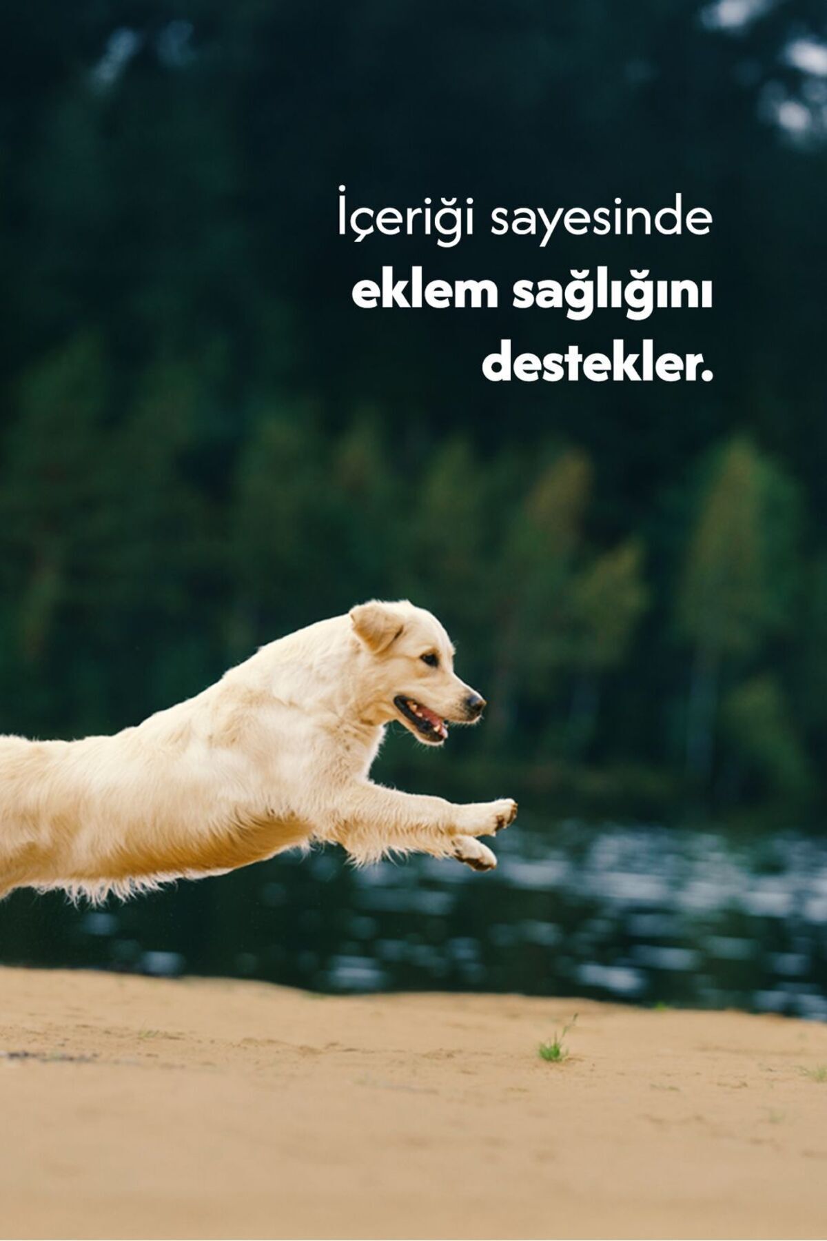 Dana Gırtlak Cips %100 Doğal Köpek Ödül Maması 5