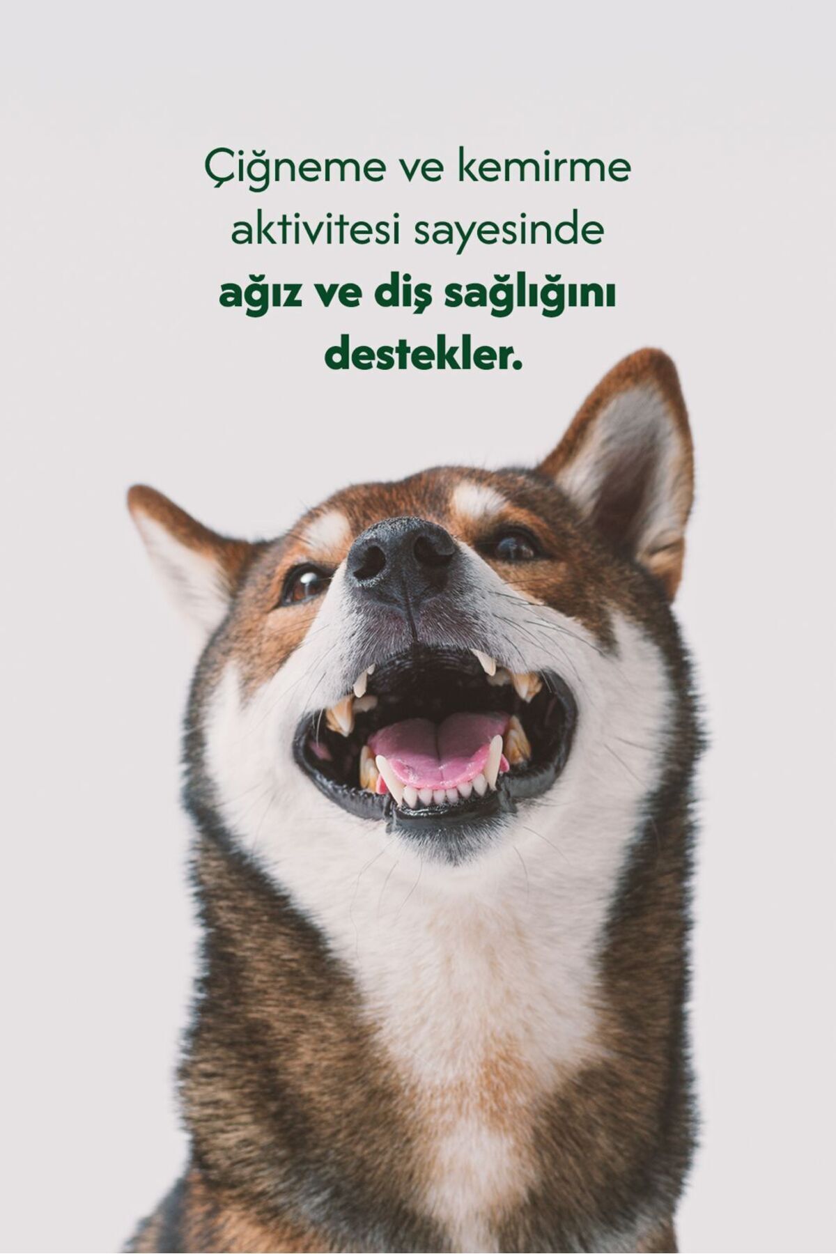 Tüylü Keçi Kulak %100 Doğal Köpek Ödül Maması 6
