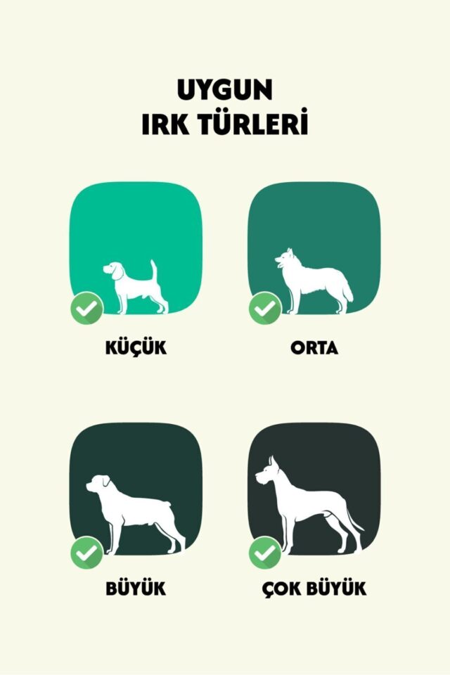 Dana Tırnak %100 Doğal Köpek Ödül Maması - Görsel 4
