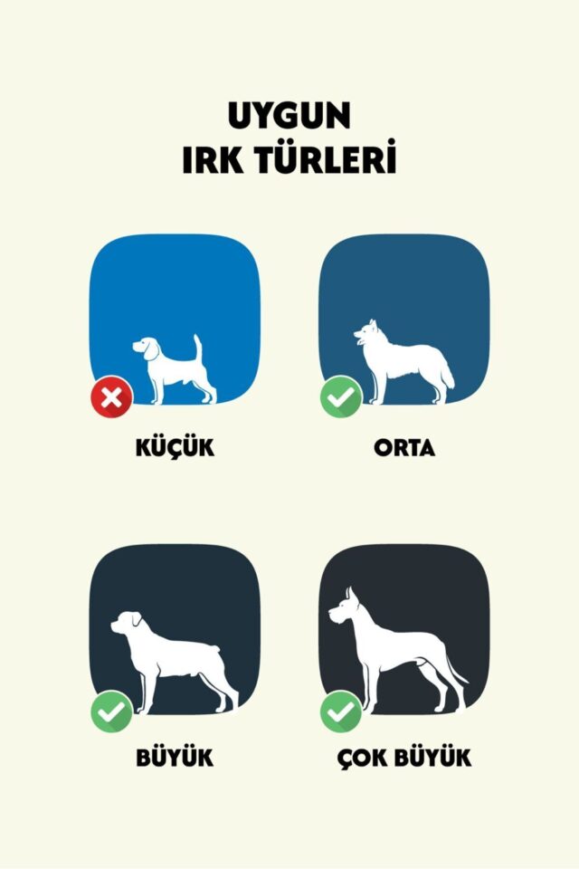 Dana Ayak %100 Doğal Kemirmelik Ödül Maması 1 Adet - Görsel 2