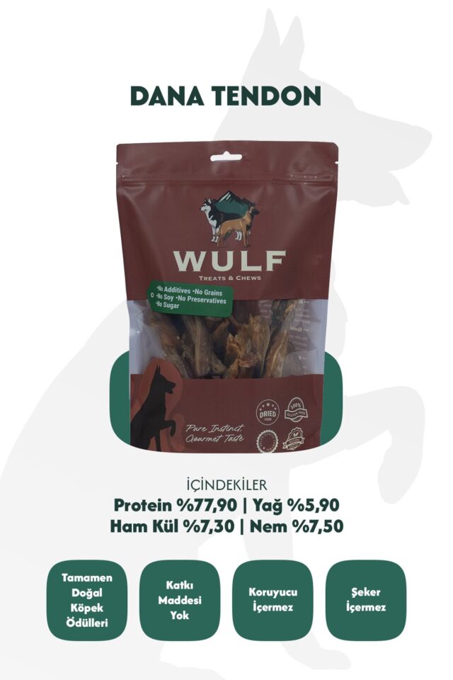 Dana Tendon 100 gram %100 Doğal Köpek Ödül Maması - Görsel 3